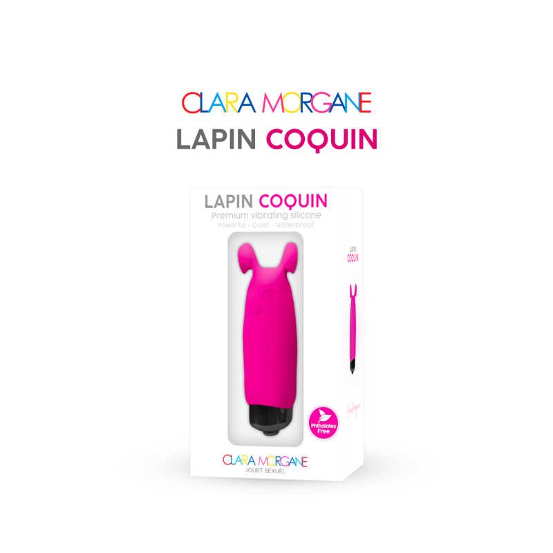 mini vibro rose puissant livraison rapide